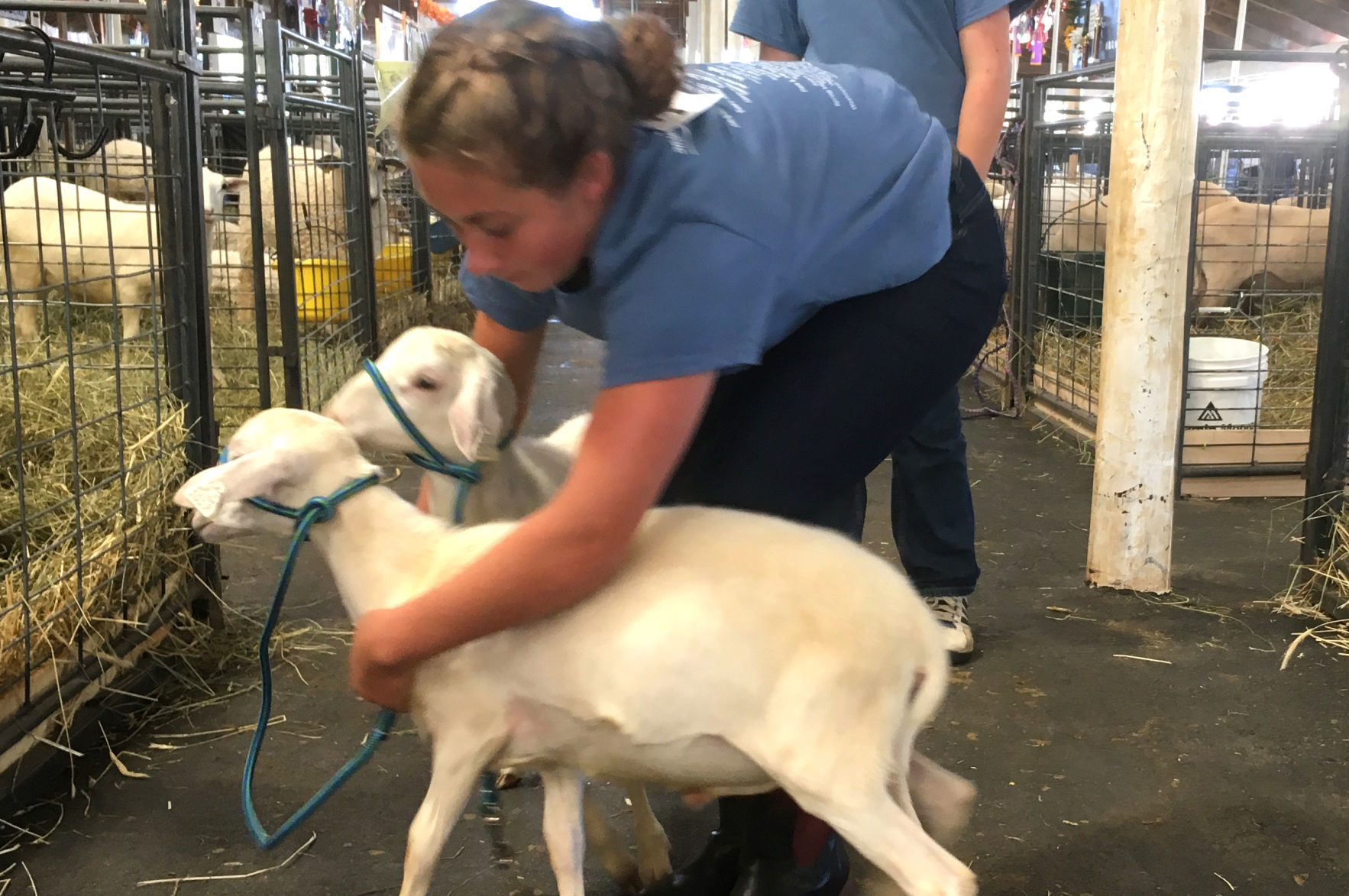 Early morning at the Washington County Fair
